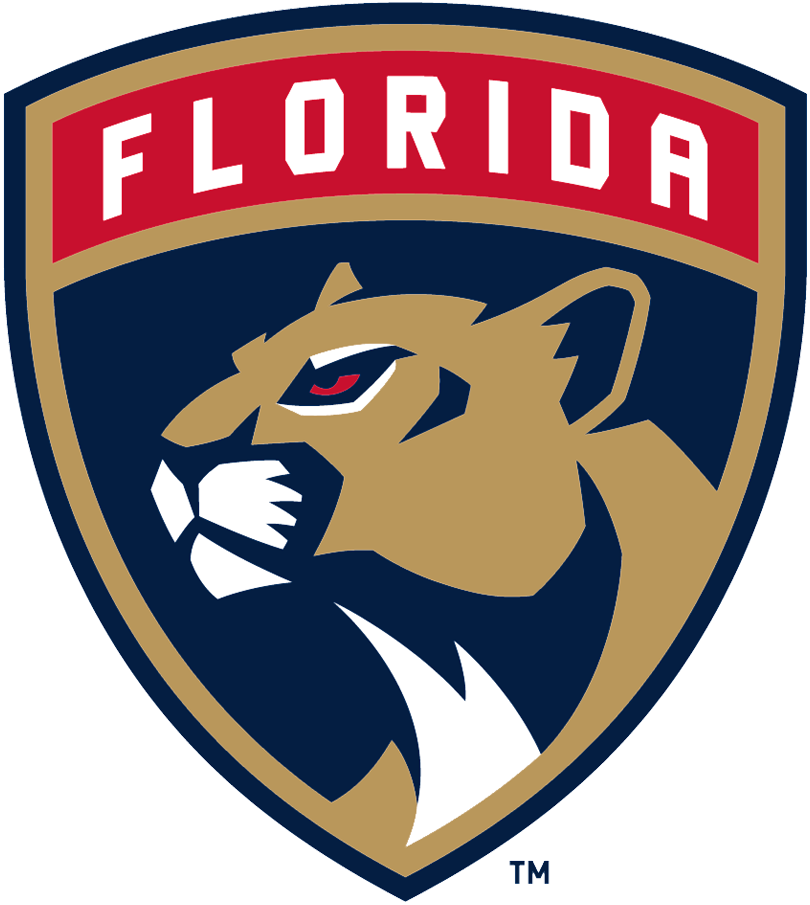 Florida Panthers 2017-Pres Primary Logo fabric transfer